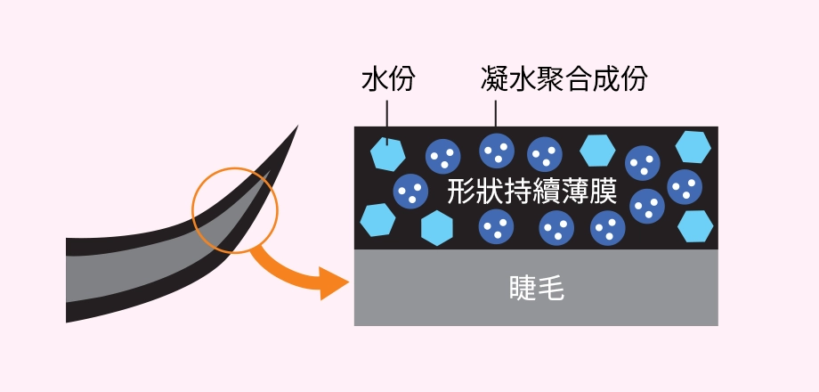 持久上揚