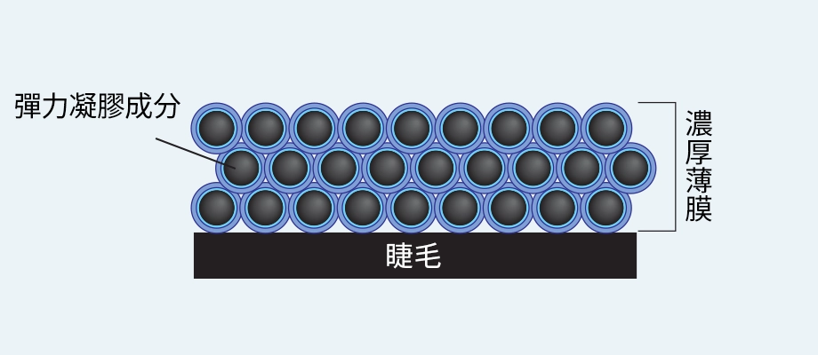 根根分明的濃厚睫妝